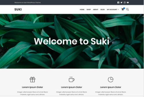 Wordpress Suki Theme